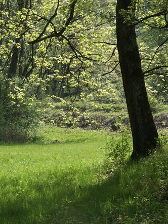 Wwa-Brenne 2